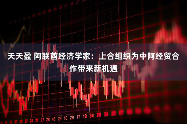 天天盈 阿联酋经济学家：上合组织为中阿经贸合作带来新机遇