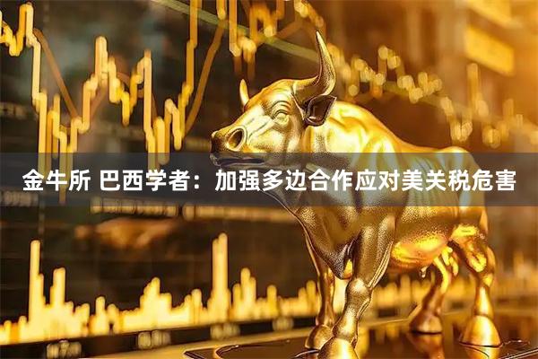 金牛所 巴西学者:加强多边合作应对美关税危害