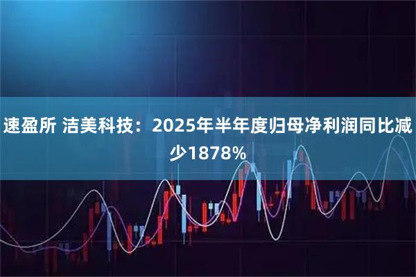速盈所 洁美科技:2025年半年度归母净利润同比减少1878%