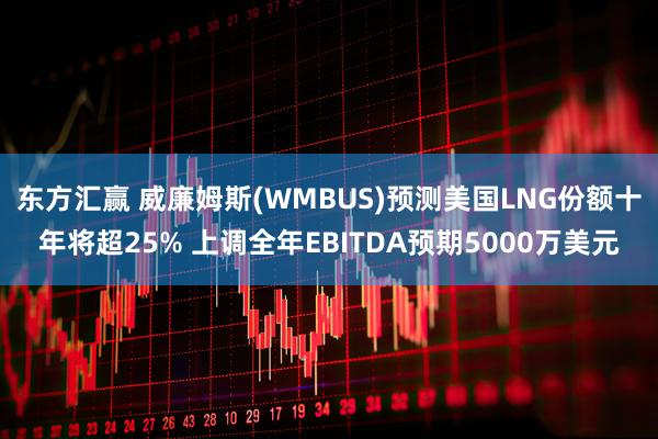 东方汇赢 威廉姆斯(WMBUS)预测美国LNG份额十年将超25% 上调全年EBITDA预期5000万美元