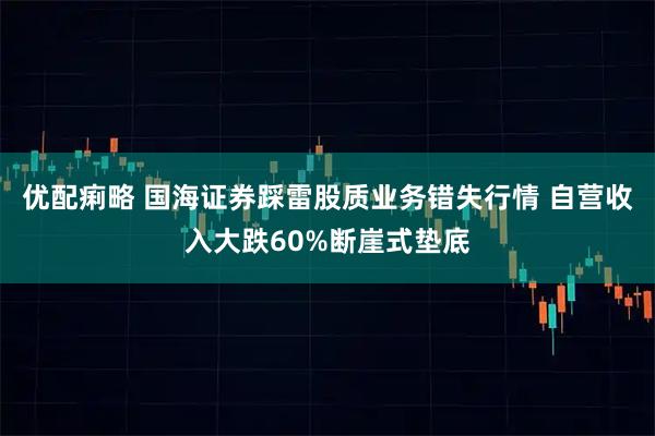 优配痢略 国海证券踩雷股质业务错失行情 自营收入大跌60%断崖式垫底