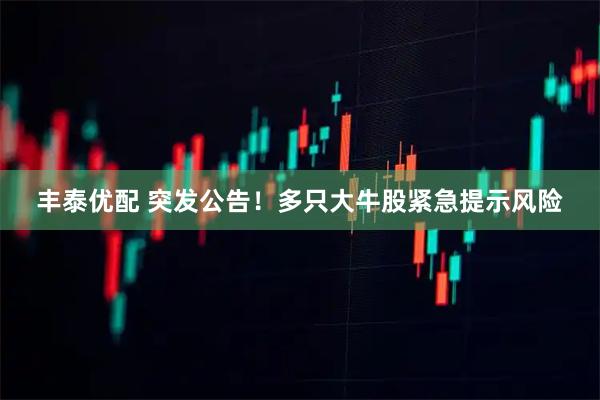 丰泰优配 突发公告！多只大牛股紧急提示风险